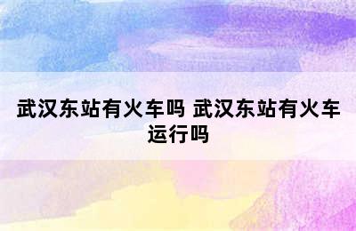 武汉东站有火车吗 武汉东站有火车运行吗